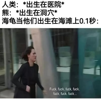 图片上半部分用文字对比了不同生物的出生场景：人类出生在医院，熊出生在洞穴，而海龟出生在海滩上0.1秒时的状态。下半部分是一张影视截图，画面中一位穿着黑色衣服的女性正在慌张奔跑，下方配有重复的“Fuck, fuck, fuck...”字幕，通过夸张的对比幽默地表现出海龟出生后需要立刻逃离海滩的紧迫感。