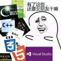 图片中展示了多种编程相关的书籍和软件图标，包括《C语言》《C++》《CSS》《JavaScript》以及Visual Studio等，右侧是一个经典的Wojak meme角色，面部带着悲伤哭泣的表情。图片上方配有文字‘有了这些还要女朋友干嘛’，通过幽默夸张的方式调侃程序员群体可能过度沉迷编程技术，而忽略恋爱关系的刻板印象。