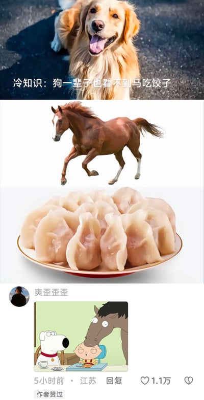 这是一张多图拼接的社交媒体图文内容，自上而下包含四个部分：1. 一只金毛犬坐在地上吐着舌头，表情开心；2. 中间上方文字'冷知识：狗一辈子也看不到马吃饺子'；3. 一匹棕色的马正在奔跑；4. 一盘饱满的饺子；5. 底部是用户'爽歪歪歪'的评论，显示来自江苏，发布于5小时前，获1.1万赞，评论配图为卡通风格的狗、马和小孩。整体通过无关联的动物与食物组合，制造幽默的'冷知识'效果，属于轻松搞笑的内容。
