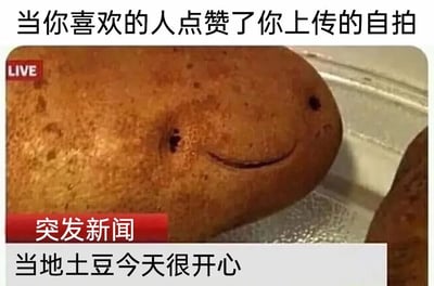 图片上方配有文字“当你喜欢的人点赞了你上传的自拍”，下方是一张拟人化的土豆照片。土豆表面有两个小孔形似眼睛，一道弧形凹陷形似微笑的嘴巴，呈现出开心的表情。图片左上角有红色“LIVE”标识，左下角有红色“突发新闻”横幅，横幅下方文字为“当地土豆今天很开心”。整体通过将土豆拟人化，并模仿新闻播报的形式，幽默地表现了当喜欢的人点赞自拍后内心的极度喜悦，用日常食材的可爱表情制造反差萌笑点。