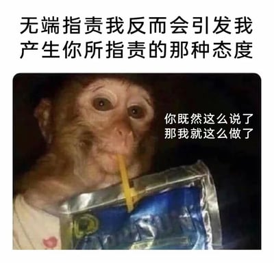 图片上方为黑色粗体文字'无端指责我反而会引发我产生你所指责的那种态度'，下方是一只猴子用吸管饮用蓝色袋装饮料的照片，猴子右侧配有文字'你既然这么说了那我就这么做了'。整体通过猴子淡定的表情与文字内容，幽默展现面对无端指责时产生逆反心理的状态，常用于表达对不合理指责的回应。