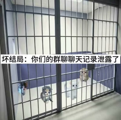 图片展示了一个金属笼子，笼内有几只表情无辜的小猫被关押着。图片顶部有醒目的文字覆盖：“坏结局：你们的群聊聊天记录泄露了”。通过将小猫被困在笼子的场景与群聊记录泄露的“坏结局”相结合，以幽默调侃的方式暗示群聊隐私泄露后可能面临的尴尬或麻烦处境，营造出一种轻松又带点无奈的搞笑氛围。