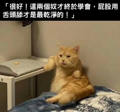 这是一张趣味萌宠梗图，画面主体是一只姿态慵懒傲慢的橘猫，它半靠在房间的墙角处，一只前爪搭在旁边的柜子边缘，神态淡定从容，仿佛正以“主人”的姿态审视着一切。图的顶部配有搞笑的拟人化文字：“很好！这两个奴才终于学会，屁股用舌头舔才是最干净的！”，结合猫咪会用舌头舔舐身体进行清洁的习性，将橘猫拟人化为高高在上的“主子”，把铲屎官调侃成“奴才”，通过这种拟人化的反差感制造出强烈的搞笑效果，生动地调侃了养猫家庭中常见的“猫主子铲屎官”的趣味关系。