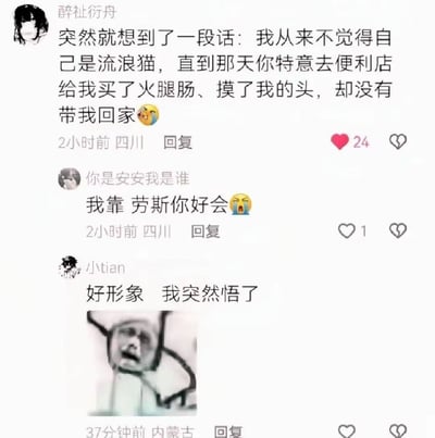 该图片为社交媒体评论截图，展示了三条用户留言。首条评论来自用户“醉祉衍舟”，以流浪猫为喻：“突然就想到了一段话：我从来不觉得自己是流浪猫，直到那天你特意去便利店给我买了火腿肠、摸了我的头，却没有带我回家😭”，用细腻文字表达了获得短暂温暖却未被长久接纳的失落感。第二条评论“你是安安我是谁”感叹“我靠 劳斯你好会😭”，表达对前者比喻的赞叹。第三条“小tian”则回应“好形象 我突然悟了”，并附上一张人物捂脸痛哭的表情包，强化共鸣情绪。整体氛围伤感又戳心，引发网友对情感落差的集体共情。