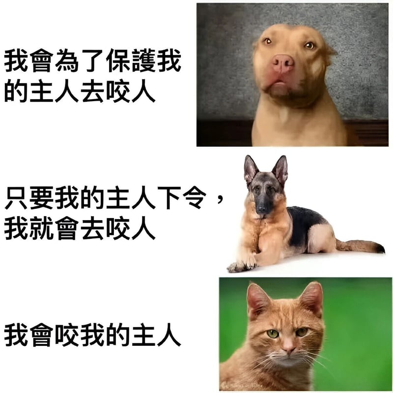 德国牧羊犬