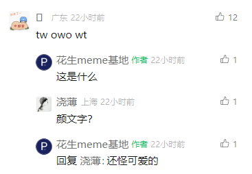 这是一张社交媒体评论区的截图，内容是一位标注为广东的用户发布了一串由字母和颜文字组成的内容“tw owo wt”，帖子作者“花生meme基地”看到后询问“这是什么”，随后一位标注为上海的用户“浇薄”回复猜测“颜文字？”，帖子作者紧接着回复“还怪可爱的”，整体互动轻松有趣，围绕小众的网络颜文字展开。