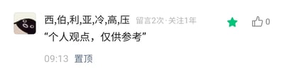 这是一张国内社交媒体平台的评论区截图，展示了一条被置顶的用户评论。用户名为用逗号分隔的“西,伯,利,亚,冷,高,压”，该用户累计留言2次，已关注1年，头像是带有白色环形图案的深色卡通形象。评论内容为“个人观点，仅供参考”，发布时间为09:13，评论右侧有一个已点亮的绿色星标图标，点赞数显示为0。这类发言是网络社交中常见的自我保护式声明，用于降低观点引发争议时的责任风险。