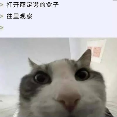 这是一张玩科学梗的图文混排搞笑图，上方配有文字“打开薛定谔的盒子 往里观察”，下方是一张近距离拍摄的猫咪特写，猫咪眼睛瞪大，鼻子凑近镜头，表情滑稽又惊讶。这张图将量子力学中“薛定谔的猫”思想实验里“既生又死”的量子态设定，用搞笑的猫咪形象打破，制造出反差感，以幽默的方式对这个著名物理实验进行趣味化演绎，适合在社交平台用来玩梗、活跃气氛。