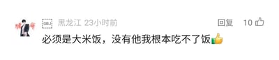 这是一张社交媒体平台的评论截图，左上角是带有红色“赌命”字样的人物头像，头像旁标注了“OBJ”，用户所在地显示为黑龙江，评论发布于23小时前。评论核心内容为“必须是大米饭，没有他我根本吃不了饭”，并附带一个绿色点赞表情，直白表达了该用户对大米饭的喜爱，认为日常用餐离不开大米饭。该评论右侧设有“回复”按钮，且已获得10个点赞，整体是典型的简洁风格社交媒体评论区界面。