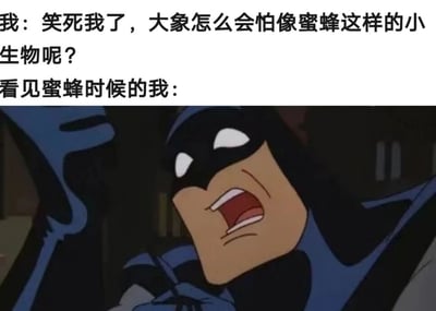 这张梗图通过上下对比的方式展现了一个幽默场景：上方文字显示"我：笑死我了，大象怎么会怕像蜜蜂这样的小生物呢？"，表达了对大象害怕蜜蜂的不屑；下方则是蝙蝠侠惊恐大喊的动画截图，配文"看见蜜蜂时候的我："，形成了强烈的反差萌，幽默地表现了人们面对自己害怕的小生物时的真实反应。