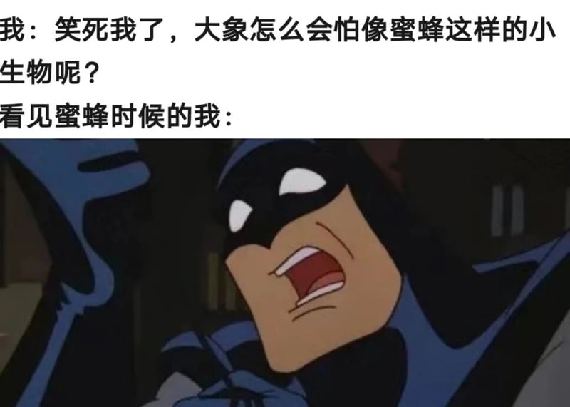 蝙蝠侠：动画系列