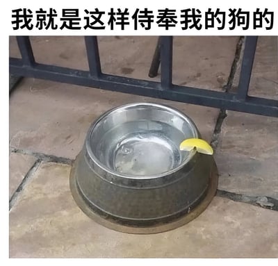 图片展示了一个金属狗碗，里面装着水，水面上漂浮着一片柠檬片，放在铺着瓷砖的地面上，背景有一个金属栅栏。图片上方配有文字“我就是这样侍奉我的狗的”，通过给狗的水里加柠檬片这种类似人类精致饮品的做法，幽默地表现了现代人对宠物的宠爱和精心照料，形成一种反差萌的搞笑效果。