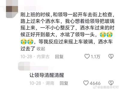 社交媒体截图内容为一则职场搞笑经历：新人与领导乘车检查时遇洒水车，误将车窗摇下致领导被浇头，配文穿插哭脸emoji。下方热门回复“让领导清醒清醒”更添幽默效果，主帖获1.1万点赞，展现职场中的意外社死瞬间。