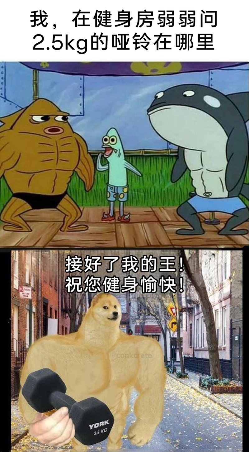Doge