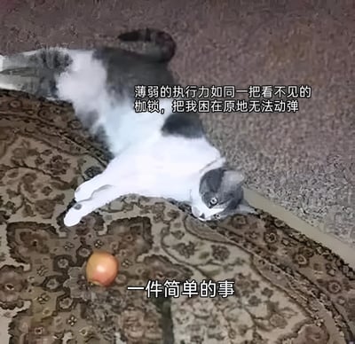 图片中一只黑白相间的猫咪无力地躺在花纹沙发上，眼神涣散，四肢摊开，呈现出被束缚无法动弹的姿态。图片右侧配有文字：“薄弱的执行力如同一把看不见的枷锁，把我困在原地无法动弹”，底部文字为“一件简单的事”。整体通过猫咪慵懒躺平的形象，幽默比喻了因执行力不足而无法行动的无奈状态。