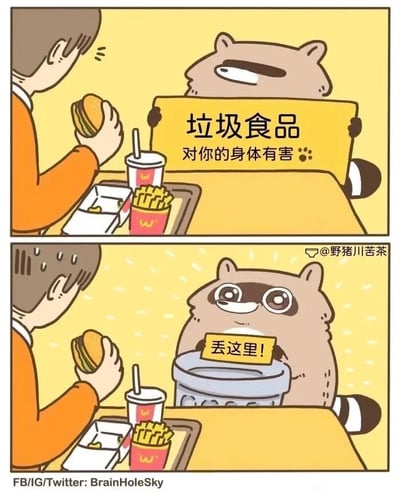 这是一幅由上下两格组成的连环卡通漫画。上格画面中，一位身着橙色上衣的人坐在餐桌前，手中拿着汉堡，面前摆放着薯条和带吸管的饮料，对面的小浣熊一脸严肃，举着一块黄色标语牌，上面写着“垃圾食品 对你的身体有害”，似乎在劝阻对方食用这类食物；下格画面里，原本严肃的小浣熊瞬间换上讨好、期待的表情，将标语牌换成写有“丢这里！”的小牌子，同时亮出一个垃圾桶，反差感十足，实则是想让对方把食物丢进垃圾桶，自己就能享用这些“垃圾食品”，用这种前后矛盾的行为制造出强烈的幽默效果，生动展现出小浣熊口是心非的小心思。