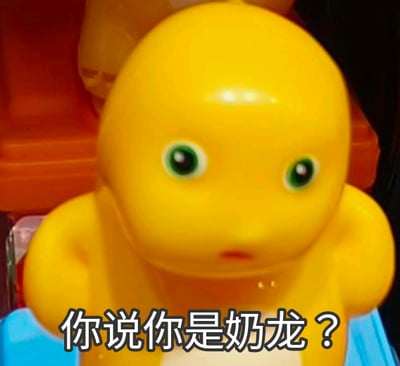 图片展示了一个仿动画角色奶龙造型的黄色玩具，它睁着圆溜溜的眼睛，表情呆滞茫然，图片下方配有文字“你说你是奶龙？”，以此调侃该玩具与正版奶龙软萌可爱形象的明显差异，制造搞笑效果，图中无谐音梗、双关等内容。对于图中的问题，这个玩具是仿奶龙的周边产品，因和正版形象差距较大，所以会被质疑是不是奶龙。