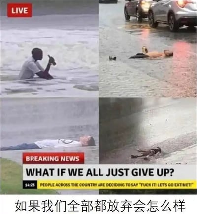 这是一张采用多图拼接形式的搞笑梗图，模仿新闻直播与突发新闻的排版风格来制造戏谑效果。左上角的图带有“LIVE”直播标识，展示一名黑人男性坐在积水中，手托下巴，神情无奈，呈现出摆烂、放弃思考的姿态；右上角的图里，一名男性躺在积水中，身旁有车辆驶过，他却举着饮料，一副全然无所谓的样子；左下角的图是一名男性平躺在积水中，彻底呈现出破罐破摔的摆烂状态；右下角的图则是一个类似骷髅的形象趴在小水洼里，用极端夸张的方式表现“放弃到底”的状态。图片下方配有模仿突发新闻的英文文字：“BREAKING NEWS WHAT IF WE ALL JUST GIVE UP? 14:25 PEOPLE ACROSS THE COUNTRY ARE DECIDING TO SAY "FUCK IT! LET'S GO EXTINCT!"”，并配有中文翻译“如果我们全部都放弃会怎么样”，通过夸张的视觉场景和戏谑的文字，调侃当代人在面对生活、社会压力时产生的摆烂、破罐破摔的消极情绪，以幽默的方式宣泄内心的疲惫与无力感。