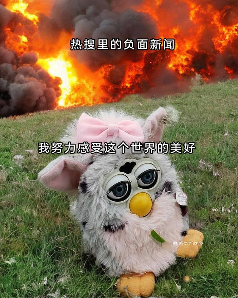 孩之宝电子毛绒玩具