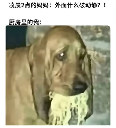 这张梗图通过对比展现了深夜偷吃的搞笑场景。上方文字写着'凌晨2点的妈妈：外面什么破动静？！'，下方文字'厨房里的我：'配上一张表情心虚、嘴里叼着食物的狗的照片，幽默地表现了深夜偷偷在厨房找东西吃时被妈妈发现的尴尬和心虚。