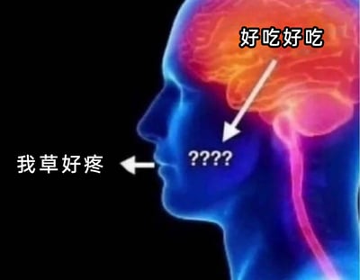 这张图是基于人体头部侧面神经可视化图进行二次创作的搞笑meme，图中用不同区域的文字标注，拟人化展现了身体的矛盾状态：大脑区域标注“好吃好吃”，代表大脑正沉浸在食物的美味中；面部中间区域标注“????”，表现出该区域接收大脑信号后，面对嘴部的疼痛反馈产生的困惑、不知所措；嘴部方向标注“我草好疼”，代表嘴部正承受着疼痛，比如口腔溃疡、食用过烫过辣食物带来的痛感。箭头清晰指示了信号的传递逻辑，生动描绘了生活中那种“明知吃的东西会让嘴疼，但又忍不住觉得美味”的纠结又搞笑的场景，引发人们对类似经历的共鸣。