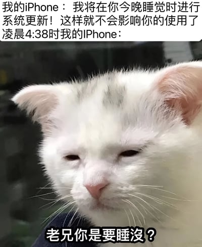 图片上方文字模拟iPhone的口吻：“我将在你今晚睡觉时进行系统更新！这样就不会影响你的使用了”，下方紧接着“凌晨4:38时我的iPhone：”，配图是一只眼神迷离、表情困倦的白猫，猫下方文字为“老兄你是要睡没？”。整体通过拟人化手法和猫咪的困倦表情，幽默吐槽iPhone系统更新常选择在深夜打扰用户睡眠的现象，表达了用户被凌晨更新吵醒后的无奈与调侃。