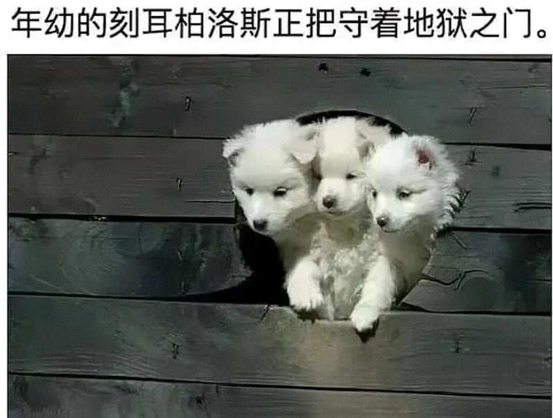 刻耳柏洛斯