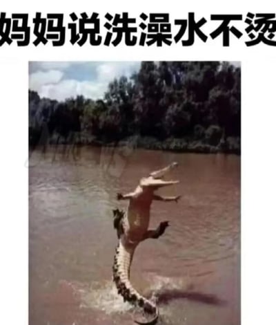 图片上方配有黑色加粗文字“妈妈说洗澡水不烫”，下方是一张鳄鱼在水中的照片。鳄鱼直立站在浑浊的河水中，身体后仰，嘴巴大张，四肢张开，仿佛因接触到滚烫的水而做出夸张的应激反应。图片通过鳄鱼的激烈反应与文字形成幽默对比，调侃了生活中“妈妈觉得不烫的洗澡水实际上很烫”的常见家庭场景，充满生活气息和搞笑效果。