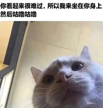 图片上方有一行文字：'你看起来很难过，所以我来坐在你身上然后咕噜咕噜'，下方是一只灰色猫咪的特写镜头。猫咪仰头注视，眼神中带着一丝困惑和关切，表情呆萌。文字幽默地将猫咪的行为拟人化，描绘了猫咪在主人难过时，通过坐在身上并发出咕噜咕噜的呼噜声来进行安慰的场景，整体氛围温馨又搞笑，充满治愈感。
