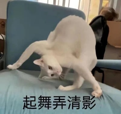 这是一张文字加注的实拍宠物图，画面主体是一只白色猫咪，由于视觉错位，它的身体和四肢摆放的姿势看起来像是在翩翩起舞，姿态怪异又滑稽。图片下方配上了苏轼经典词作《水调歌头·明月几时有》中的名句“起舞弄清影”，将古典诗词的意境与猫咪的搞笑姿势结合，形成强烈的反差感，营造出幽默诙谐的氛围，适合用作表情包来传递轻松搞笑的情绪。