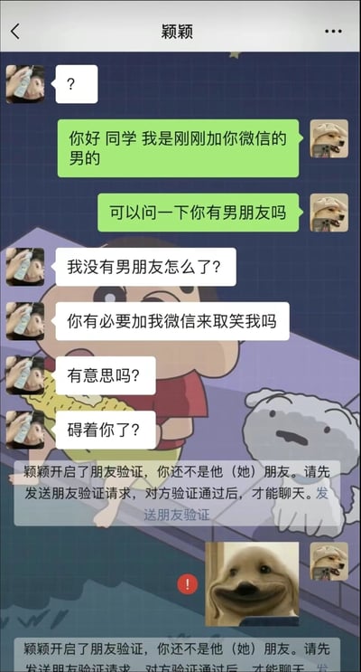 这是一张竖屏的微信聊天记录静态截图，聊天背景是《蜡笔小新》的卡通图案。对话中，一名刚加好友的男生先自我介绍，随后直接询问女生颖颖是否有男朋友，颖颖却误以为男生是特意加好友来取笑自己单身，情绪激动地连续发出四句质问，随后将男生微信删除，系统弹出验证提示，男生最后发送了一张委屈的狗狗表情包，整个对话充满了社交中的尴尬误会。