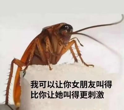 这是一张趣味搞笑梗图，画面主体是一只棕褐色的蟑螂，它趴在一个白色的块状物体上，肢体支撑着身体。图片下方配有文字“我可以让你女朋友叫得比你让她叫得更刺激”，利用部分女生看到蟑螂会发出高分贝尖叫的生活现象，用带有低俗双关的调侃语气制造笑点，将蟑螂的“威慑力”和情侣间的互动进行对比，形成反差感的搞笑效果，常用于在社交平台上和朋友开玩笑或者调侃怕蟑螂的女生。