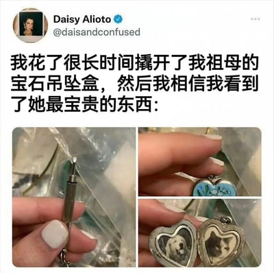 这是一张Twitter（现X平台）截图，用户Daisy Alioto发布了一条帖子，内容描述自己花了很长时间撬开祖母的宝石吊坠盒，结果发现里面装着祖母最宝贵的东西。帖子下方配有四张图片：第一张是手拿着螺丝刀正在撬开吊坠盒的场景，第二张是闭合状态的蓝色花纹心形吊坠盒，第三和第四张是打开后的吊坠盒内部，分别放着一张狗狗和一张猫咪的照片，展现了祖母对宠物的珍视。