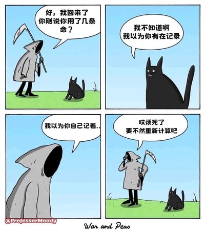 这是一组四格连环卡通漫画，以黑色幽默的风格展开：第一格中，身着黑袍、手持镰刀的死神回到坐在草地上的黑猫面前，开口询问黑猫已经用掉了几条命；第二格中，黑猫露出茫然的神情，表示自己没有记录，以为死神会负责记录命数；第三格中，死神露出无奈的反应，称自己以为黑猫会自己记着用过的命数；第四格中，死神烦躁地扶着头，提议要重新计算黑猫的命数。漫画借助猫有九条命的经典设定，通过双方都没记录的乌龙事件，将原本严肃的死神形象变得滑稽荒诞，制造出搞笑的效果。