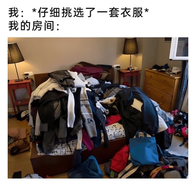 这是一张引发生活共鸣的搞笑图文梗图，上方配文分为两部分：“我：*仔细挑选了一套衣服*”与“我的房间：”，下方的实拍图片展示了被衣物彻底侵占的房间场景——床铺上堆积如山的各类衣物蔓延到地面，周围的家具旁也散落着衣服、包包等杂物，整个房间显得极其杂乱。该图用夸张且真实的方式，调侃了人们为选出一套满意的衣服，会翻找大量衣物，最终导致房间变得狼藉不堪的日常经历，能够让有类似体验的人产生强烈共鸣。