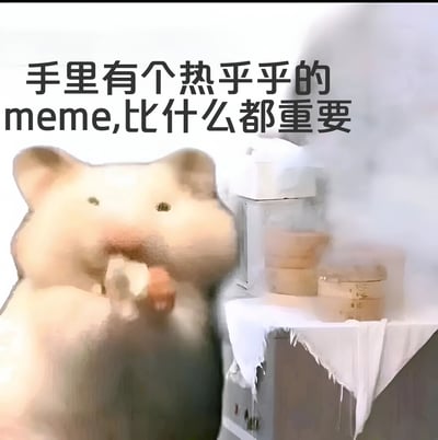 图片展示了一只仓鼠手持食物的真实场景，上方配有文字'手里有个热乎乎的meme,比什么都重要'。通过将仓鼠满足的表情与网络文化中的meme结合，幽默地表达了用户对新鲜有趣meme的重视，传递出轻松搞笑的氛围，常见于社交媒体中分享热门meme时使用。