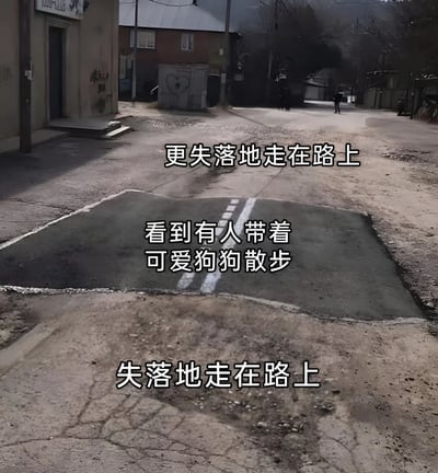 图片展示了一条安静的街道场景，路面有明显的裂缝和修补痕迹，左侧是带有涂鸦的建筑物，远处有行人走动。画面中央叠加了三行文字，形成递进的情绪表达：'失落地走在路上' → '看到有人带着可爱狗狗散步' → '更失落地走在路上'，通过反差幽默展现了即使看到可爱事物也无法缓解的失落心情。