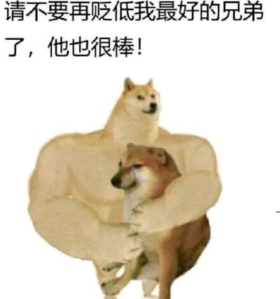 这是一张经过P图改编的静态合成梗图，画面主体是两个柴犬形象：一个是拥有人类健壮肌肉身体的柴犬，它表情严肃坚定，用双臂环抱着另一只看起来神态低落、显得弱小的普通柴犬。图片上方配有文字“请不要再贬低我最好的兄弟了，他也很棒！”，通过拟人化的动物互动和直白的文字，生动地传递出坚定维护朋友、不允许他人贬低自己兄弟的真挚情谊，风格诙谐又暖心，很容易引发网友对友情的共鸣。