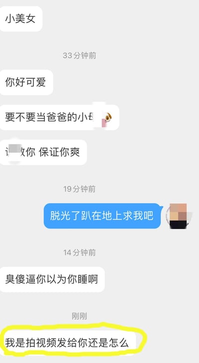聊天对话截图显示了包含不适当和冒犯性语言的交流。对话中出现了'要不要当爸爸的小'、'保证你爽'、'脱光了趴在地上求我吧'、'臭傻逼你以为你睡啊'等粗俗内容。最后一条消息'我是拍视频发给你还是怎么'被黄色边框特别标注。