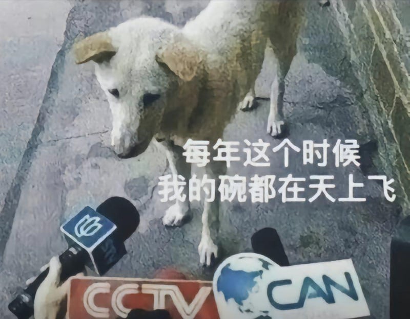 狗