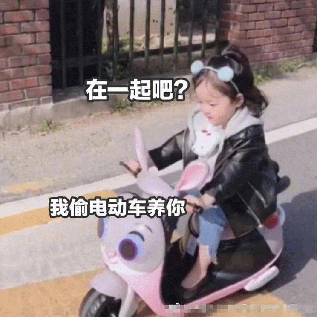 权律二骑兔子电动车求婚：我偷电动车养你