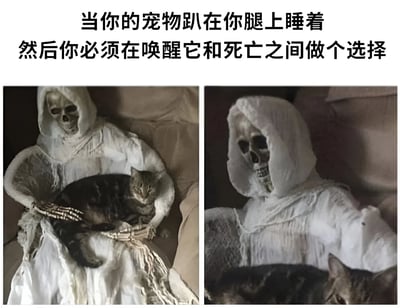 图片上方配有文字“当你的宠物趴在你腿上睡着 然后你必须在唤醒它和死亡之间做个选择”，下方是左右两张对比图。左侧图中，一个穿着白色罩袍、露出骷髅头的死神（Grim Reaper）正盘腿坐着，双手轻轻环抱着一只趴在它腿上熟睡的虎斑猫，猫的表情放松，死神的骨架手小心翼翼地托着猫。右侧图为死神的特写，骷髅脸表情冷漠，头微微低下看向腿上的猫，猫的部分身体和耳朵出现在画面下方。整体通过夸张的“死亡”比喻，幽默展现了宠物主人因不想打扰熟睡宠物而陷入的两难境地——宁愿保持不动直到“死亡”也不愿唤醒宠物的可爱心态。