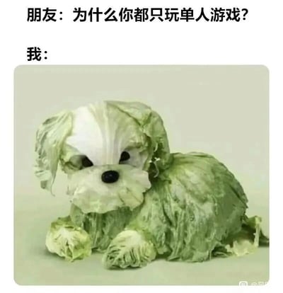 这是一张图文结合的趣味梗图，上方是朋友的提问：“为什么你都只玩单人游戏？”，下方是用白菜叶片拼接制作成的小狗形象（俗称“菜狗”）来作为回应。这里运用了谐音梗，“菜狗”谐音指代“游戏水平菜的人”，暗指自己游戏水平不佳，担心和他人组队时坑队友，所以选择玩单人游戏，用形象的方式委婉又幽默地表达了只玩单人游戏的原因。画面中的白菜狗造型逼真，神态看起来怯懦低落，也贴合了“菜”的自我认知，充满趣味性。