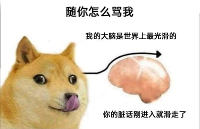 这是一张基于经典Doge柴犬表情包创作的搞笑梗图，左侧是吐着舌头、表情贱兮兮的Doge柴犬，神态满不在乎；右侧搭配了一个被标注为“世界上最光滑”的大脑图案，箭头示意大脑向外滑出。图中配有三段递进的玩梗文字：“随你怎么骂我”“我的大脑是世界上最光滑的”“你的脏话刚进入就滑走了”，通过夸张的脑洞设定，用“大脑光滑留不住脏话”的搞笑逻辑，表达自己完全不在意他人辱骂、负面言论无法影响到自己的摆烂心态，整体风格诙谐幽默，适合用于回怼他人或表达自己油盐不进的状态。