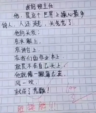 这是一张文字加注的静态单图，内容是一篇写在方格作文纸上的小学生作文，作文标题为《我的班主任》。作文以充满童真的幽默口吻，调侃班主任因操心太多早早脱发，用夸张的表述说班主任的头发散落在衣服、讲台、作业本上，唯独不在自己头上，还将班主任比作蒲公英，风一吹就成了秃瓢。作文下方有老师用红笔写下的批语“胆挺肥！！！”，既带着对学生调侃的嗔怪，又充满趣味。整体内容生动展现了师生间轻松诙谐的日常，也从侧面反映出教师职业的辛劳。