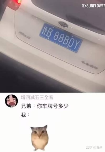 这是一张上下拼接的搞笑梗图，上半部分为白色长安福特轿车的尾部实拍画面，车辆悬挂的蓝色机动车号牌视觉上呈现为鲁B·88BOY，画面右上角带有@XSUNFLOWER的水印；下半部分为社交媒体发文内容，发布用户头像为卡通女孩，用户名是“增四减五三全音”，配文为“兄弟：你车牌号多少 我：”，配文下方搭配了一只面部线条圆润、长相呆萌的小猫表情包，右下角带有知乎@皇叔的水印。该梗图利用车牌号“88BOY”的谐音对应“爸爸boy”的趣味梗，回复时用小猫表情包含蓄体现相关谐音内容，产生了占对方便宜的搞笑效果。