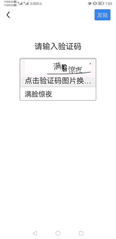 这是一张手机应用界面的截图，顶部有蓝色的“发帖”按钮，中间显示“请输入验证码”的提示文字。验证码区域为一个白色方框，内部有手写体的“满脸惊夜”字样，下方配有“点击验证码图片换...”和“满脸惊夜”的文字说明。整体界面模仿常见的验证码输入场景，但将验证码内容替换为“满脸惊夜”这一可能带有谐音或错别字趣味的文字，营造出搞笑效果。