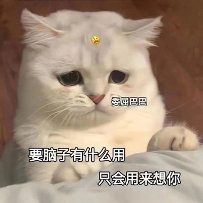 一张白色猫咪的照片，猫咪表情委屈，额头被添加了一个😔表情符号。图片上有文字：“委屈巴巴”、“要脑子有什么用”和“只会用来想你”，整体营造出一种既委屈又深情的氛围。