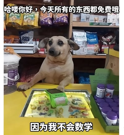 一只浅棕色的狗坐在宠物用品店的柜台后面，前爪放在柜台上，面前有一个绿色的收银机。狗的表情看起来有些惊讶和无辜。图片上方有文字"哈喽你好，今天所有的东西都免费哦"，下方有文字"因为我不会数学"。背景中可以看到货架上摆满了各种宠物食品和用品。这张图片通过拟人化的手法，让狗扮演店员的角色，并以"不会数学"为幽默理由宣布所有商品免费，营造出轻松搞笑的氛围。