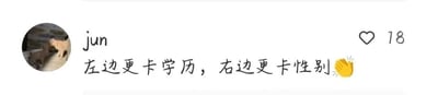 这是一张社交媒体平台的评论截图，用户名为“jun”的用户发布了一条针对职场招聘门槛的吐槽评论，内容为“左边更卡学历，右边更卡性别”，并搭配了一个鼓掌的表情符号，该评论获得了18个点赞。用户的头像是一张包含动物的图片。这条评论直指职场招聘中的两种常见不合理门槛：部分岗位在招聘时对学历设置严格限制，而部分岗位则存在性别方面的招聘偏向，表达了对这类招聘现象的看法。